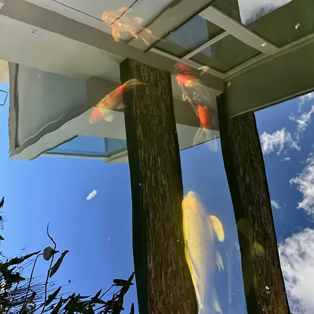 Koi - Where Luxury Meets Serenity アパート Pianello Del Lario